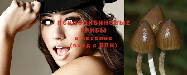 винт Апатиты