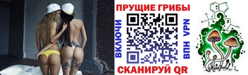 Галлюциногенные грибы прущие грибы Купить Петровск-Забайкальский